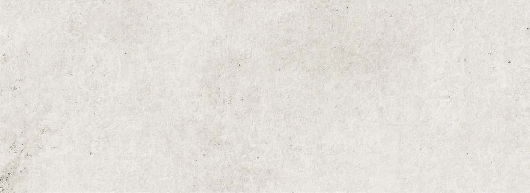 Baltimore White
